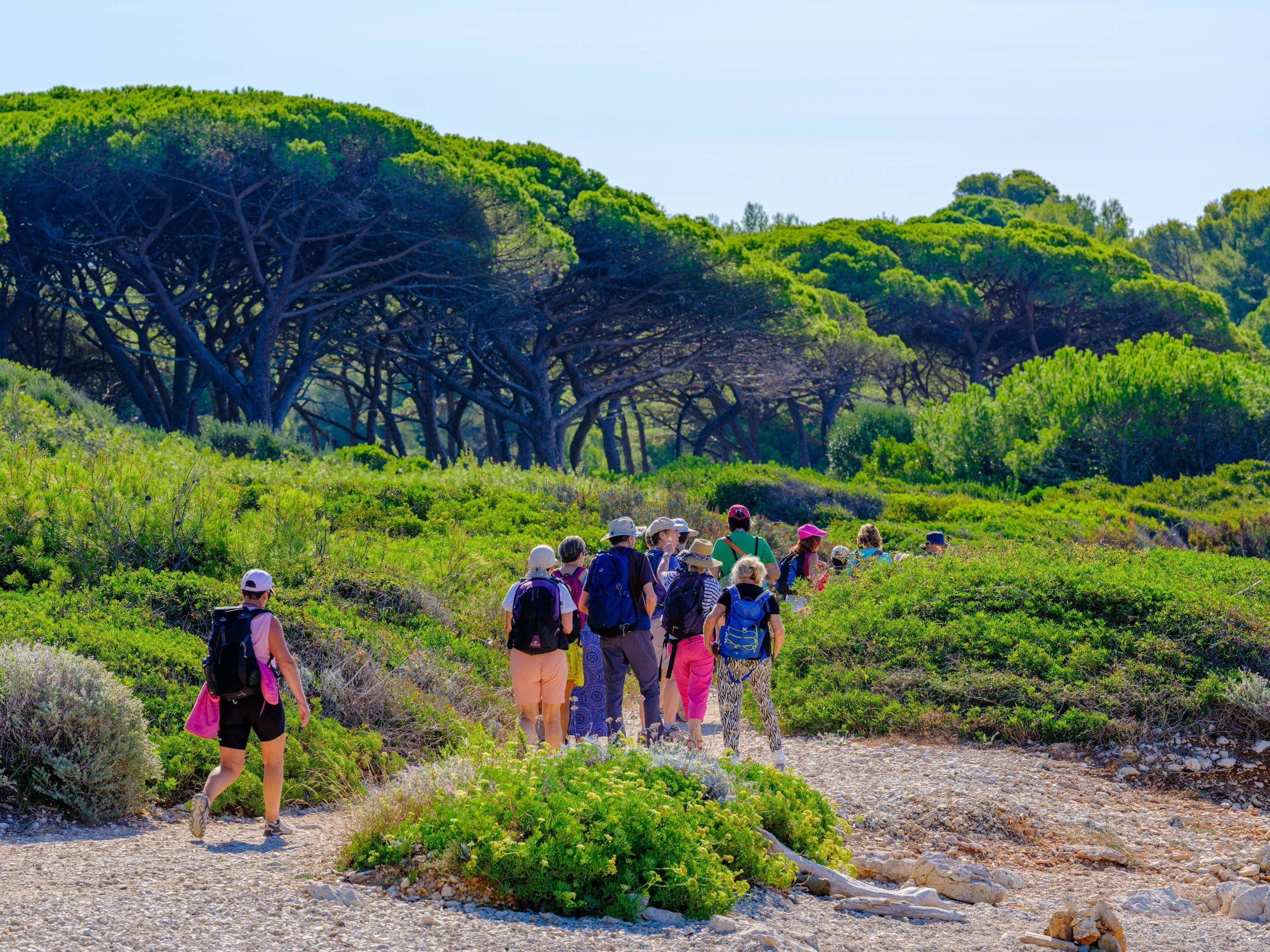 Lérins - Sainte-Marguerite 2026